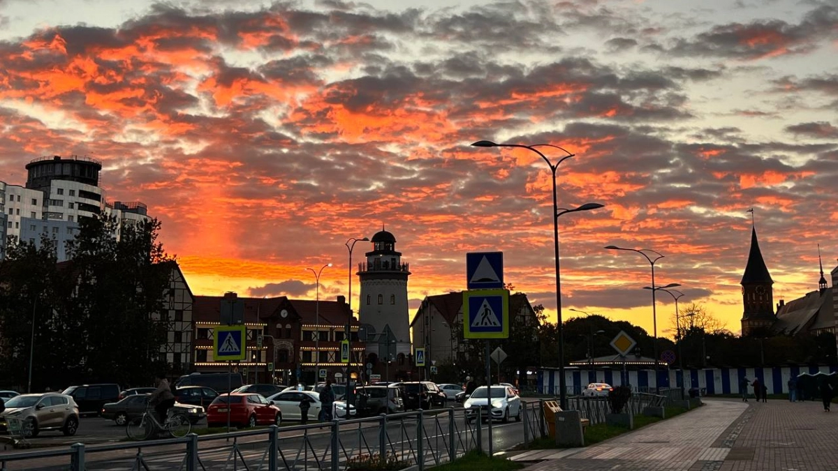 Всего 24 часа — и вы влюбитесь как подросток: как увидеть весь Калининград без беготни и потери времени