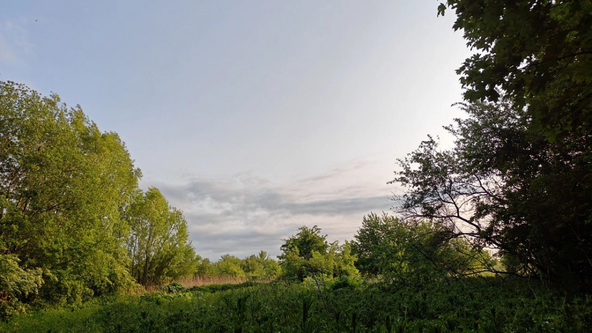 На Куршской косе и Виштынце в майские праздники можно гулять только по экотропам: штрафы до 60 тысяч