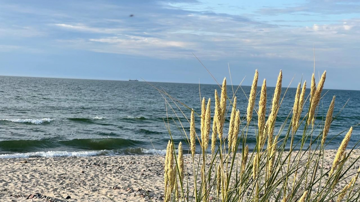 Погода в Калининграде на 1 мая: солнечно, днём +19, но ветер до 9 метров в секунду