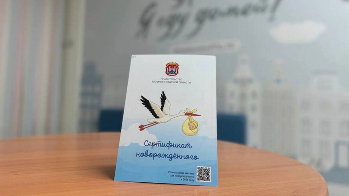 В Калининградской области выплаты за рождение ребёнка заменят электронными сертификатами: как его оформить 