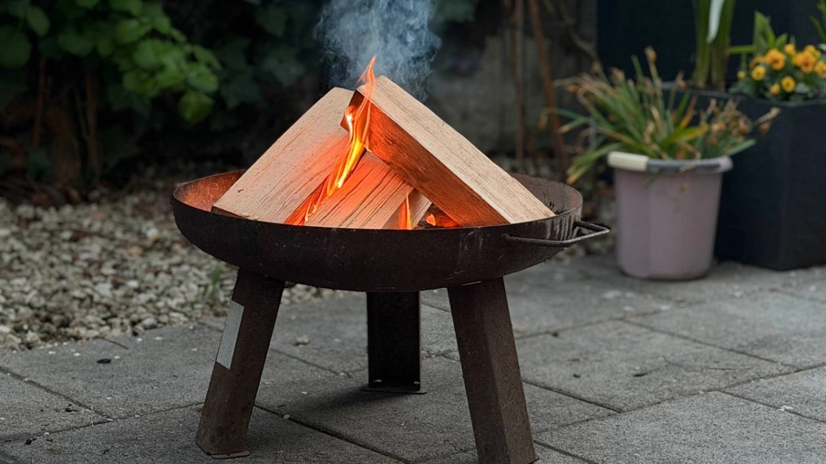 «Шашлык для туристов можно, а для местных — штраф»: калининградцы возмутились запретами МЧС