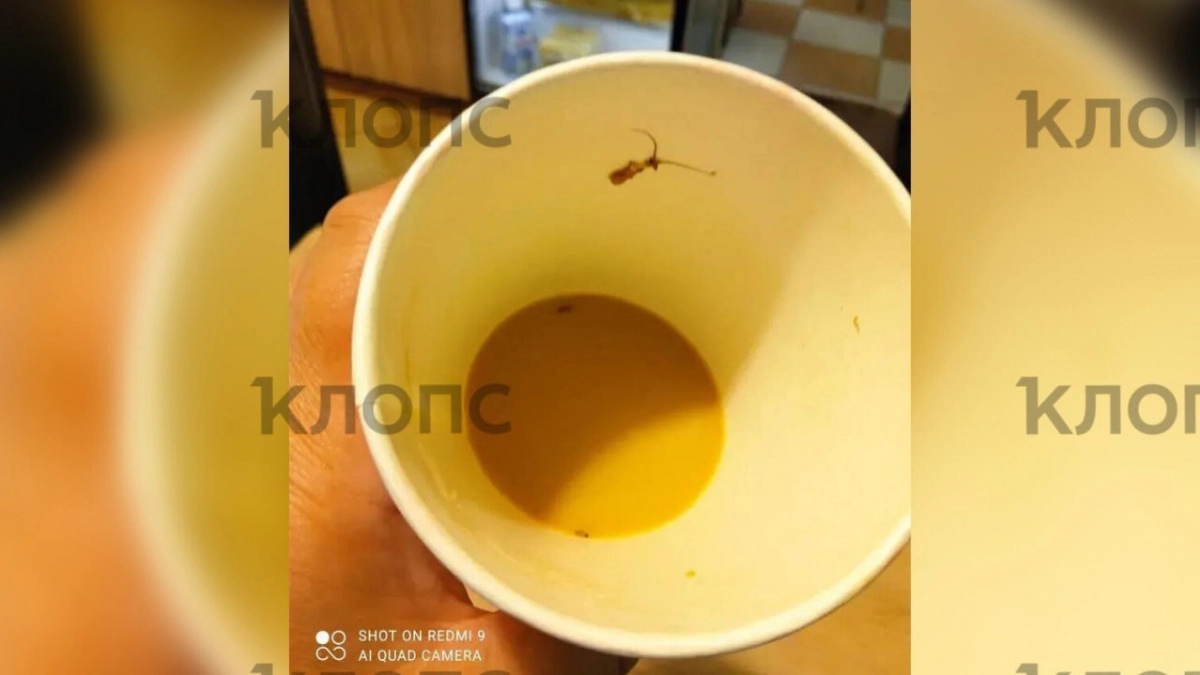 Таракан в кофе: калининградка в одной из столовых детского центра обнаружила на дне стакана насекомое