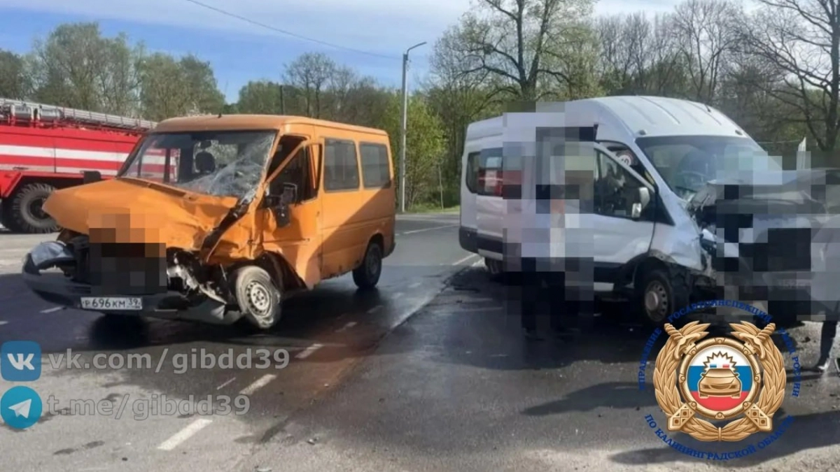 Под Нестеровом водитель Ford вылетел на главную и попал в ДТП с маршруткой