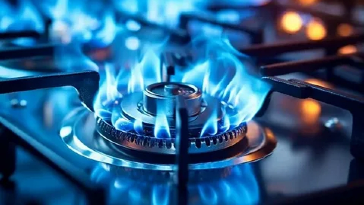 43 тысячам домов в регионе могут отключить газ: что делать калининградцам, которым грозят ограничения