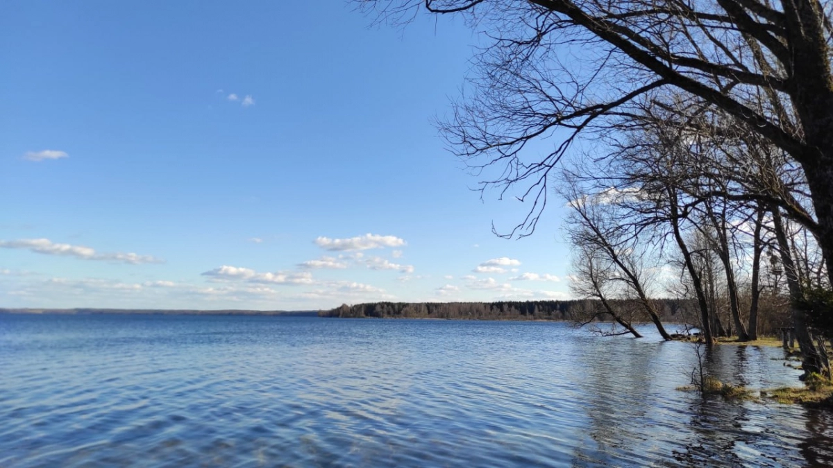 После поездки в Краснолесье море уже не хочется: место с туманными озерами и лесами покоряет с первого дня - ценные советы туристам