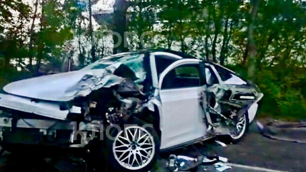 Ночная поездка закончилась трагедией: под Светлым Changan вылетел в берёзу, есть погибшие