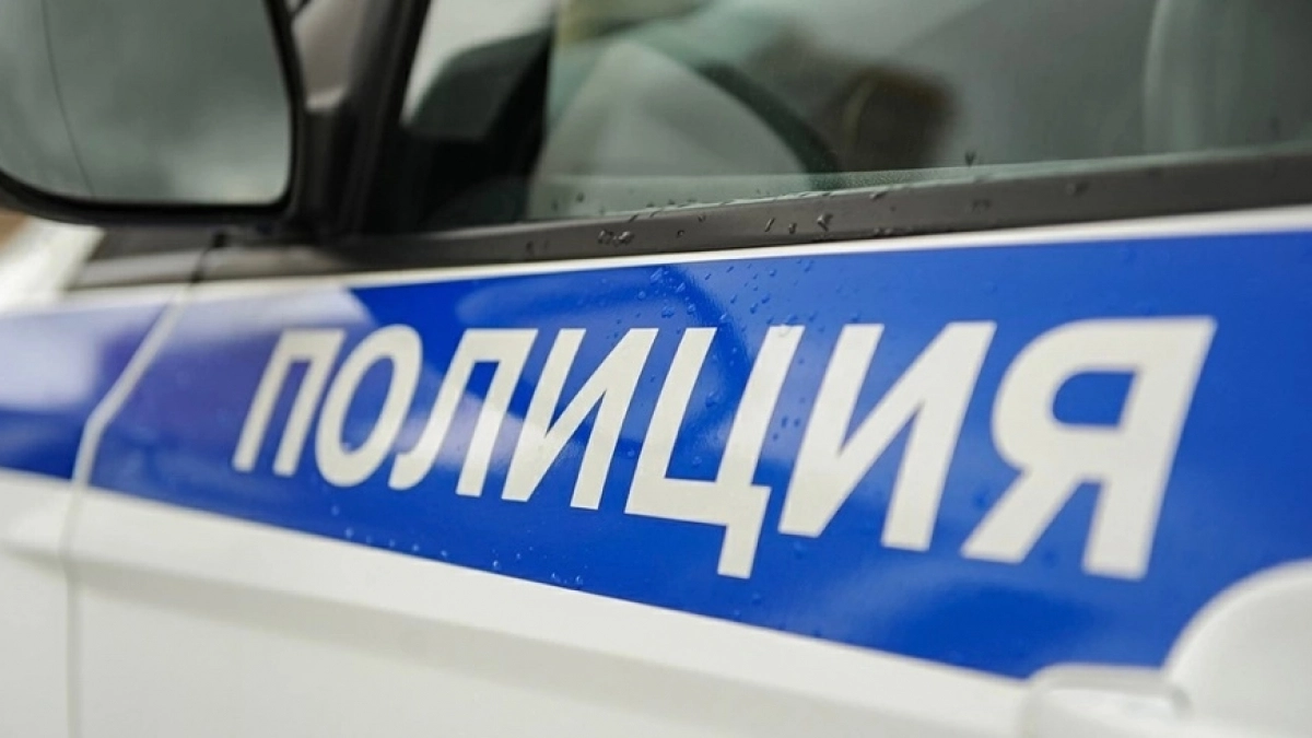 Год без жалоб: в МВД рассказали о проверках школьницы, убившей двух котов в Калининграде