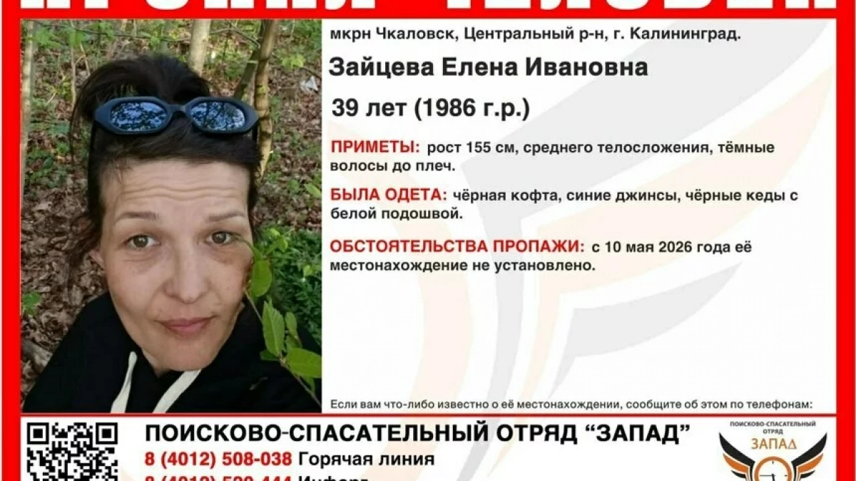 Ушла в лес и не вернулась: под Калининградом близкие ищут женщину с помощью волонтеров