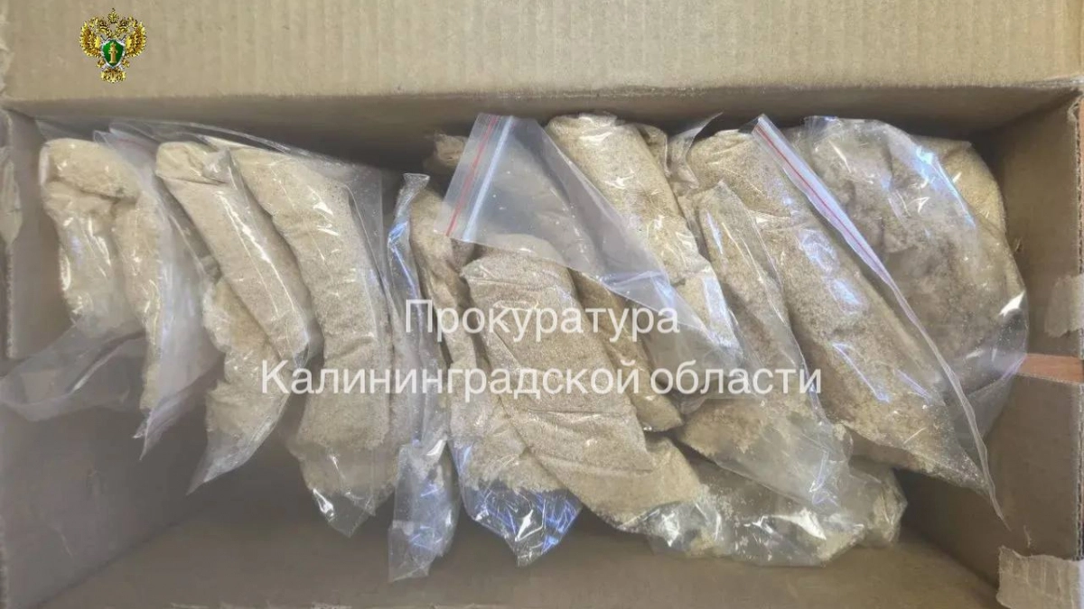 Смертоносные тайники: калининградка предстанет перед судом за сбыт 4,9 кг наркотиков, подробности