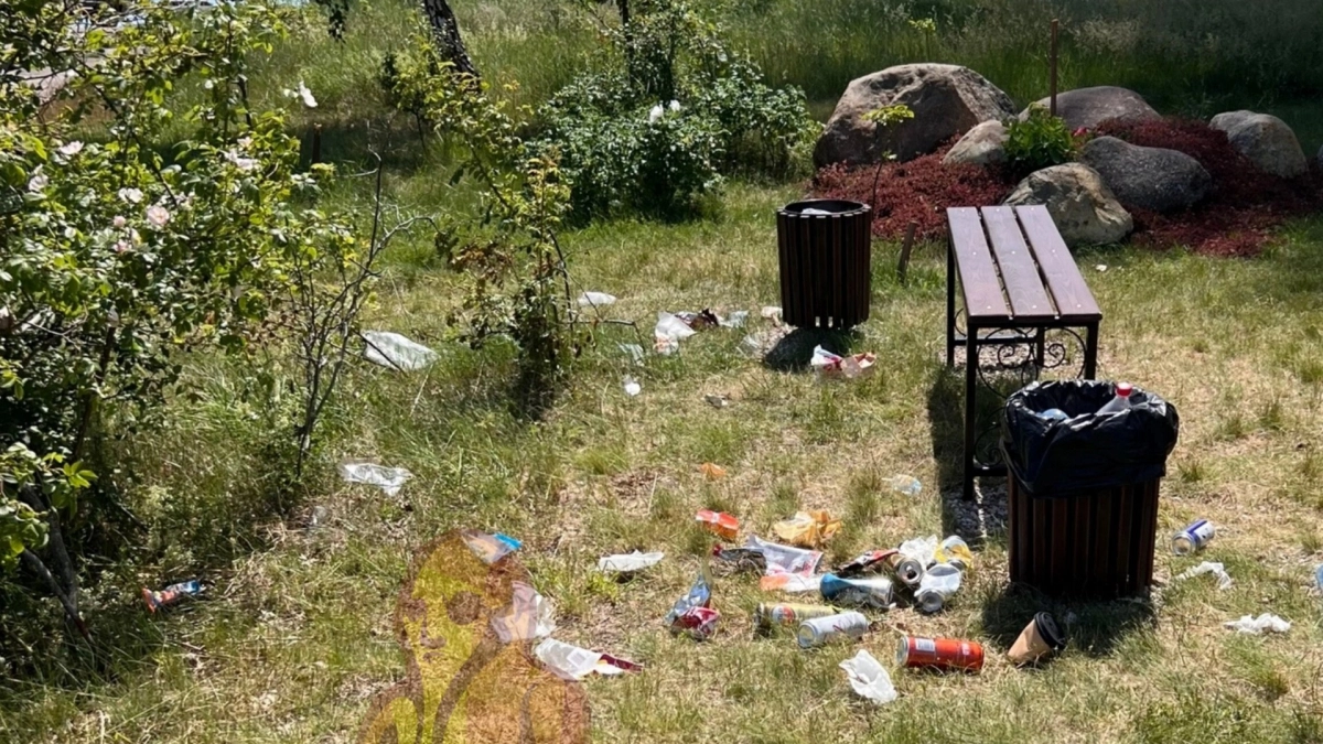 «Как свиньи!»: на Балтийской косе ищут тех, кто изгадил обновленный сквер