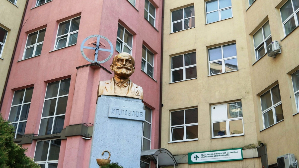 Жалобы и вопросы напрямую: главврачи калининградских больниц проведут личный приём 2 и 3 июля