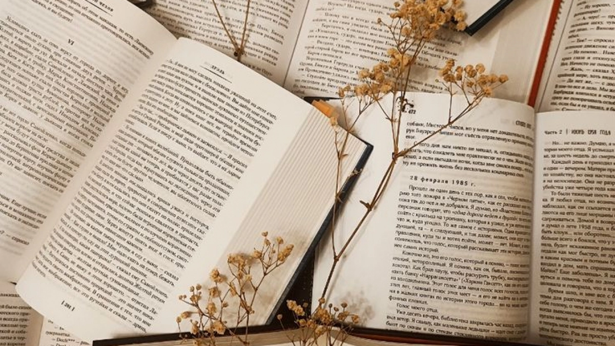 «Книжный остров» пройдёт в Калининграде: программа фестиваля с писателями, кино и концертами с 3 по 5 июля