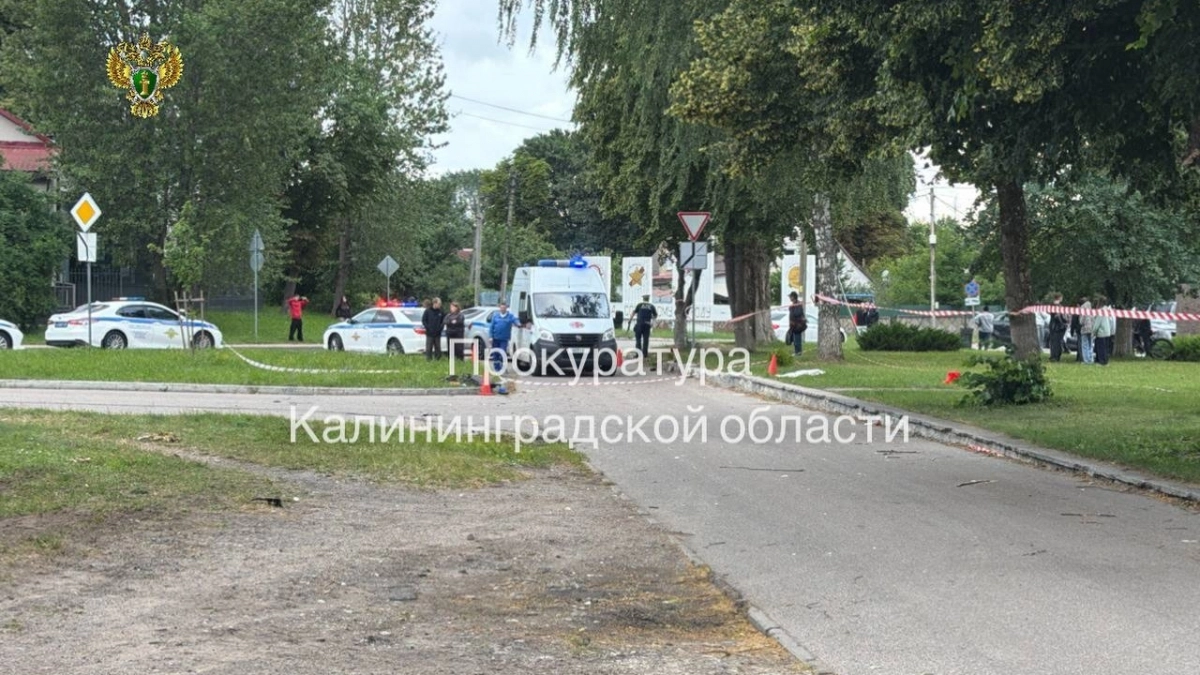 Пьяный водитель, сбивший мальчика в Прибрежном, уже не раз нарушал закон, подробности дела