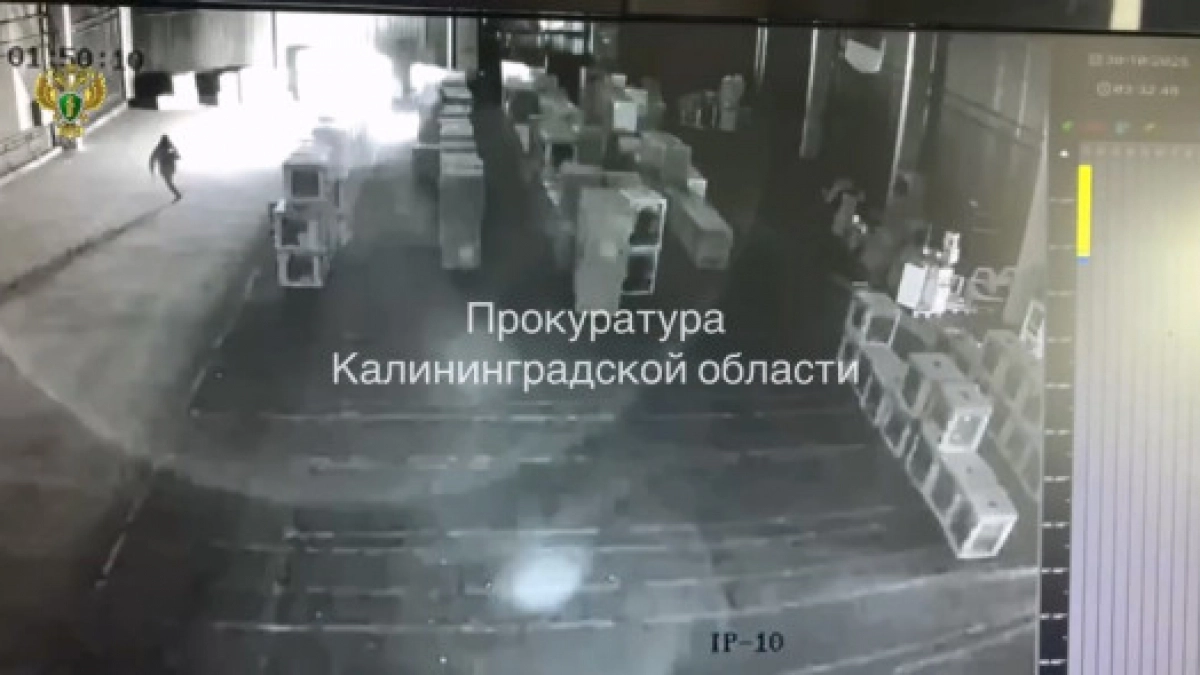 В суд передано дело о поджоге склада сети «М. Видео» и «Эльдорадо» в Калининграде (видео)