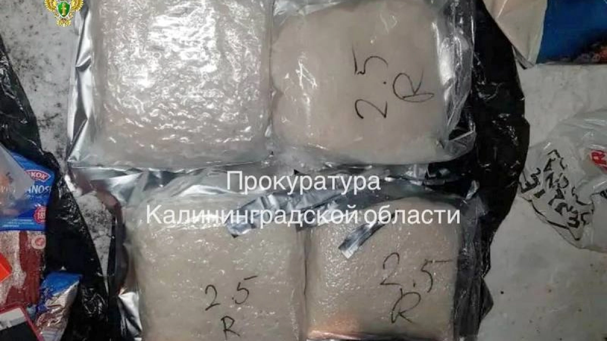 Локомотив с кокаином: калининградец получил срок за контрабанду 134 кг наркотиков из Польши