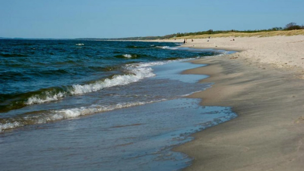 Балтика нагрелась до +20 °C: в Калининградскую область идёт новая волна жары