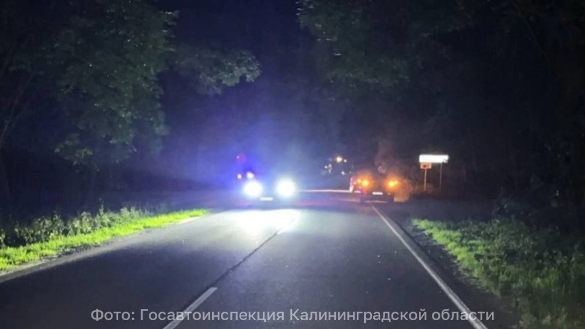 Переходила вне «зебры»: на трассе Калининград — Балтийск ночью произошло ДТП