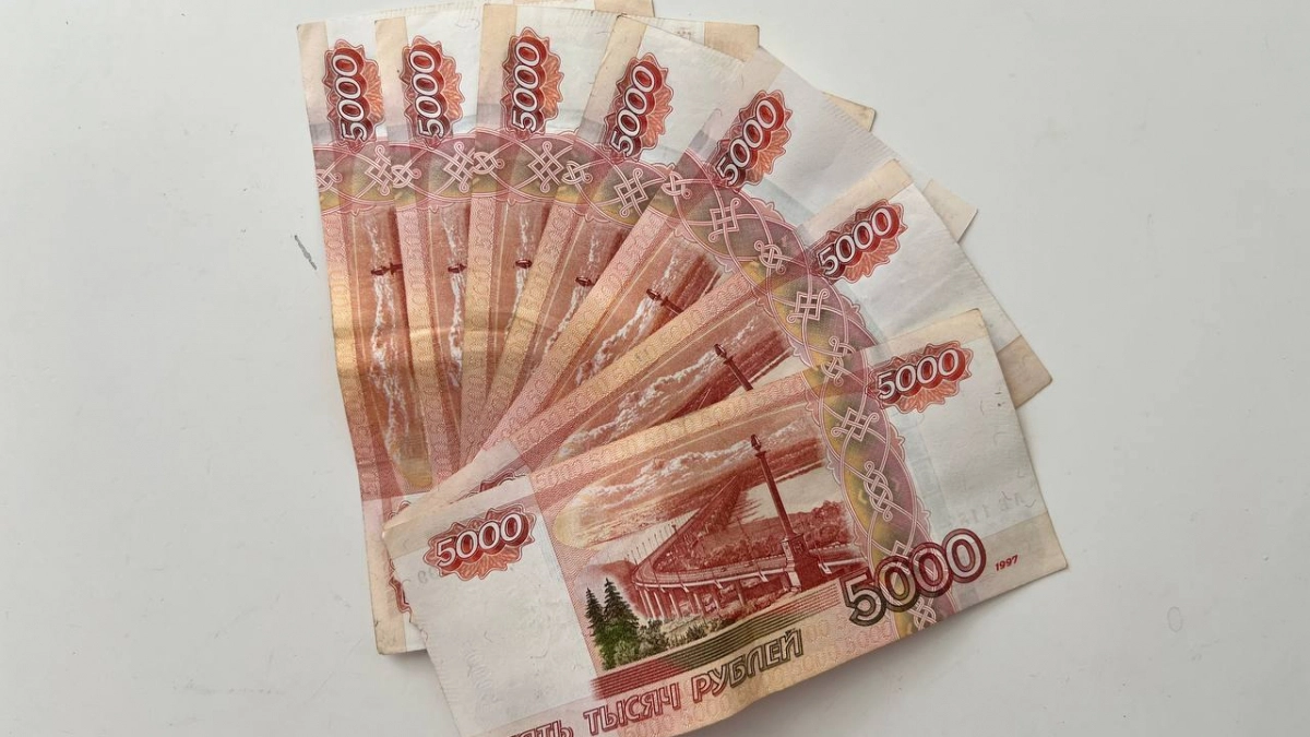 Средняя зарплата в Калининградской области выросла: какие сферы оказались в лидерах по доходам
