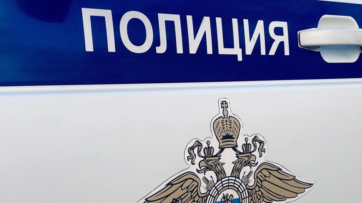 Прохожие заметили тело в воде и вызвали спасателей: что известно о происшествии в Зеленоградске