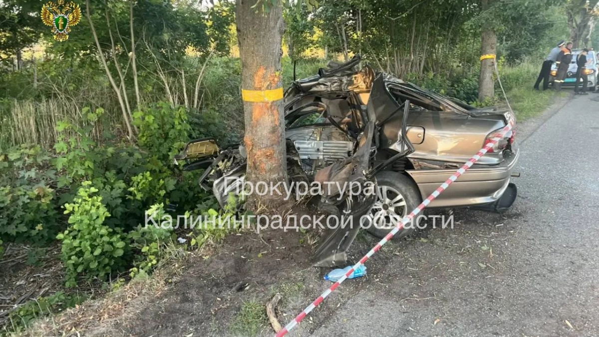 Три человека погибли на месте:     что известно о смертельной аварии под Зеленоградском