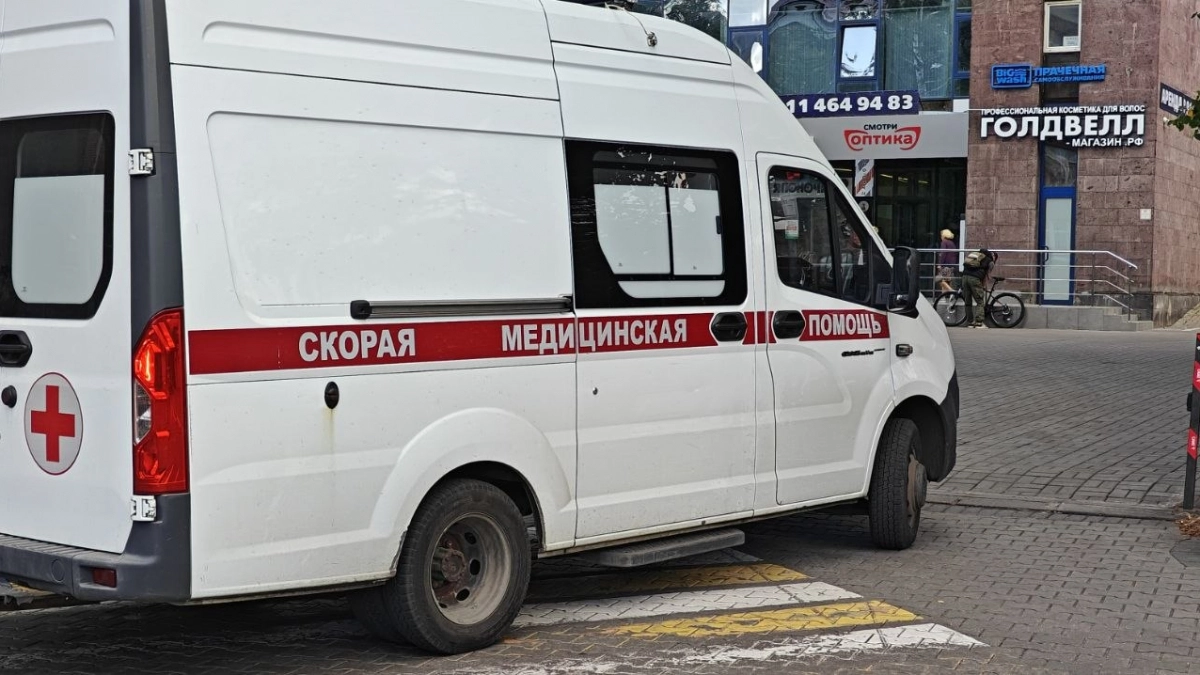 Красная сыпь и сильный зуд: в минздраве рассказали, чем опасны гусеницы в лесах под Калининградом
