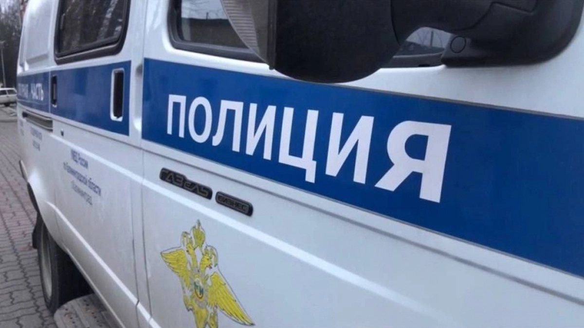 Привычка парковаться едва не закончилась бедой: на Новгородской автомобиль чуть не сбил женщину с дочкой