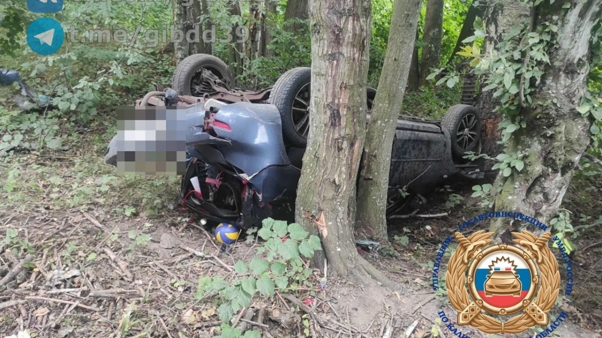 Машину занесло и выбросило с трассы: под Балтийском после переворота легковушки пострадали два человека