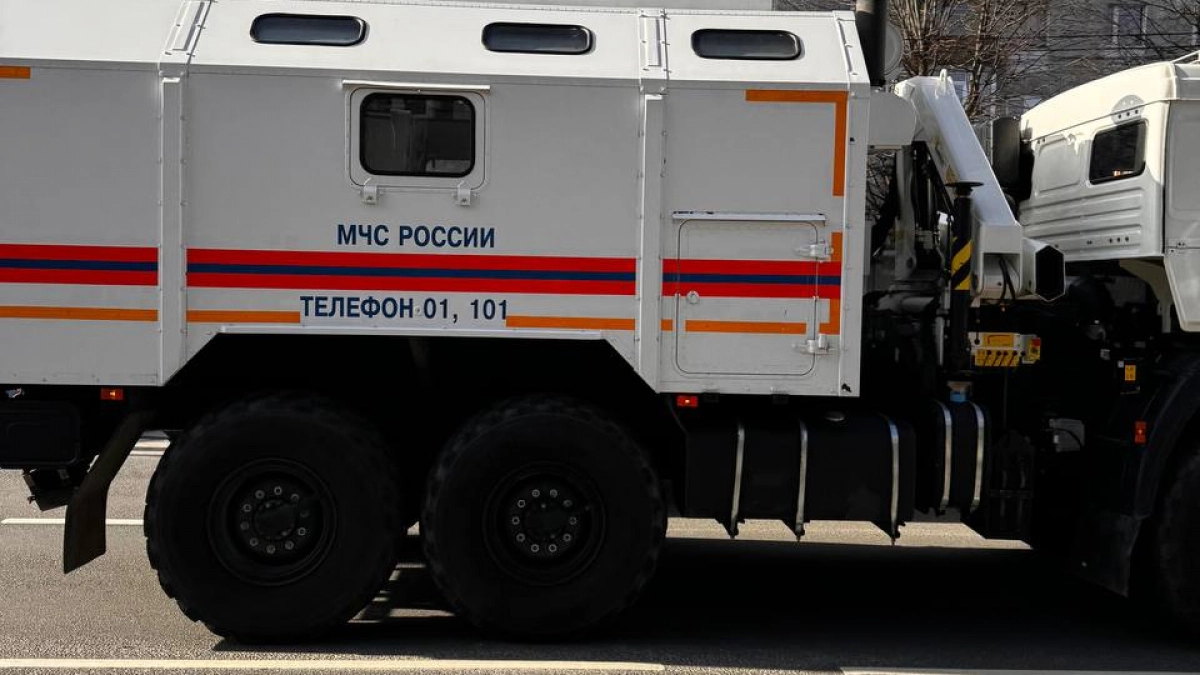 Шторм прошёлся по области: 148 поваленных деревьев, семь повреждённых машин и пострадавший мужчина