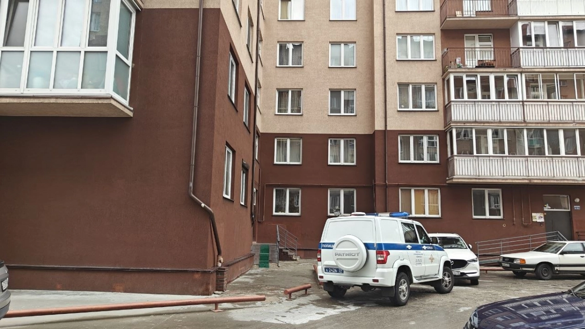  «Он бил меня первым»: под Калининградом женщина и школьник обвиняют друг друга в избиении  
