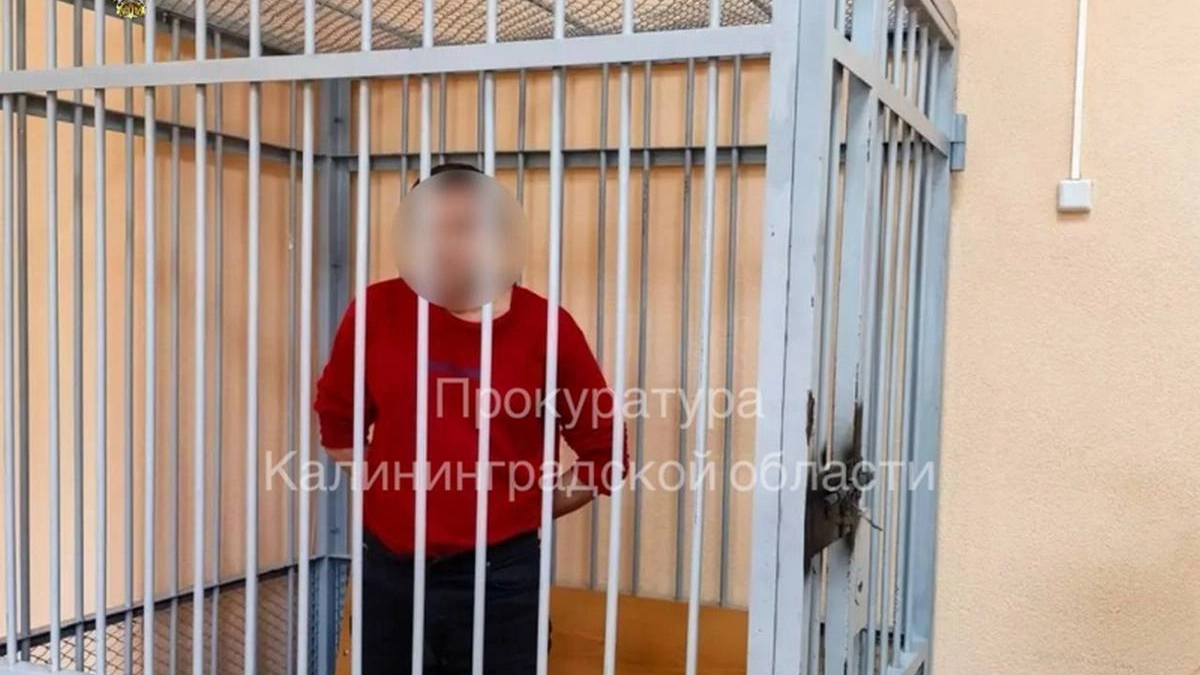 Нож в грудь из-за денег: в Калининграде иностранца осудили на 7 лет за покушение на убийство  