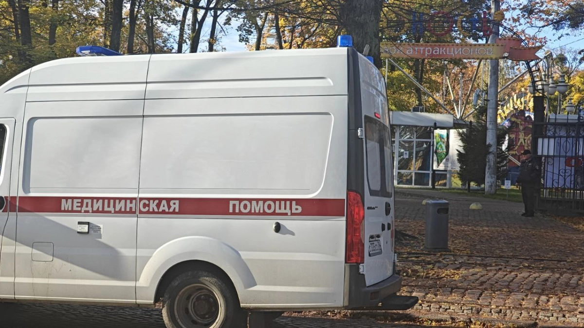  «Зачем он туда поехал?»: родители погибшего под Черняховском 21-летнего спасателя ищут очевидцев ДТП  