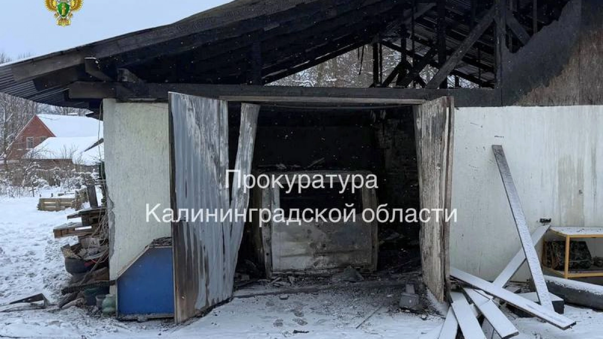 Обиделся на замечания о работе: в Немане осудили мужчину, который сжёг родительский микроавтобус за 1 млн рублей    