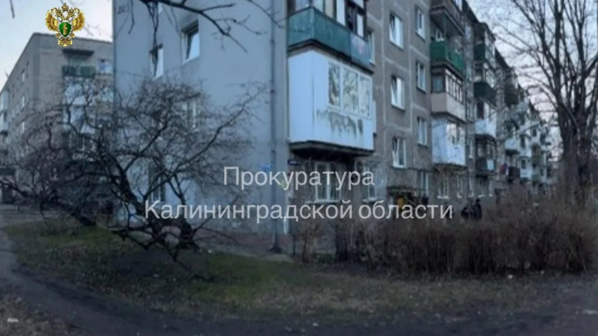 Выставил раненого собутыльника на лестницу: калининградцу грозит срок за убийство на Дрожжевой