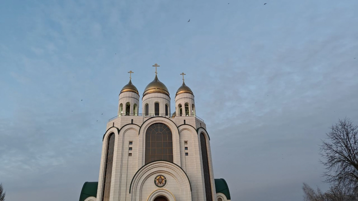 Едут на машинах, несмотря на границы: Калининград вошёл в топ-10 городов для автотуризма  