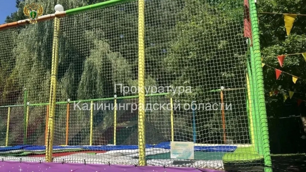Не зарегистрировал даже после предупреждения: владельца батутов «Рой Джой» в Светлом оштрафовали