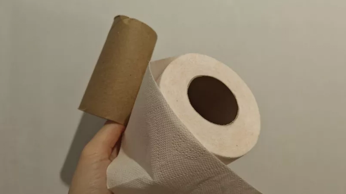 Втулки от туалетной бумаги собираю весь год и везу на дачу осенью: вот где они действительно пригождаются