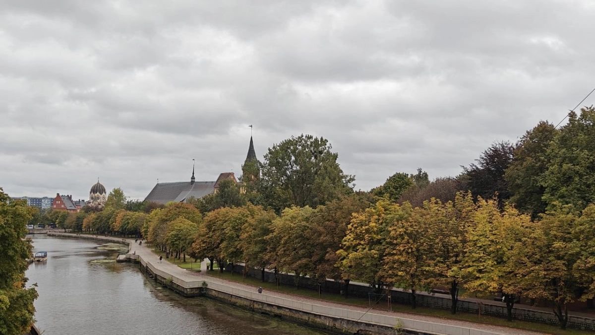 Порывы у побережья и дожди на севере: прогноз погоды по районам Калининградской области