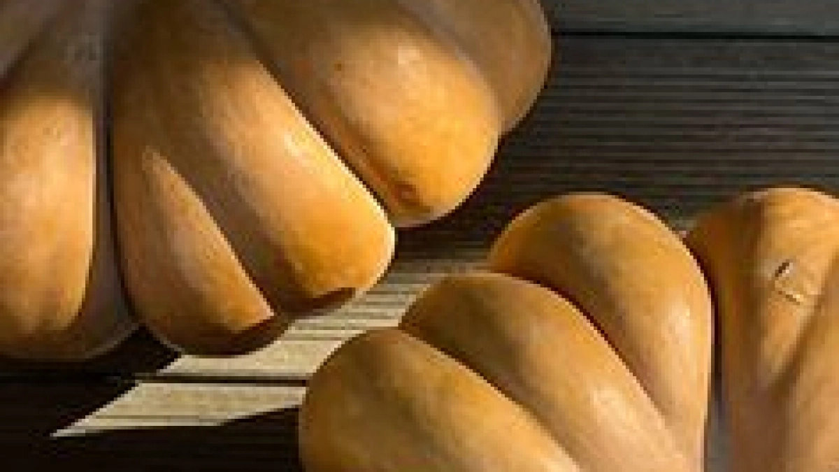 Танцы, рок и Тыквенный Спас: 7 бесплатных событий выходных в Калининградской области