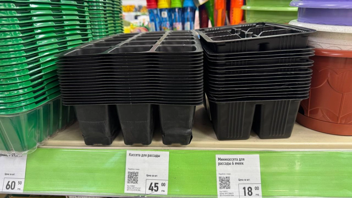 Не ждите весны: кассеты для рассады из Fix Price по 45 рублей осенью нужнее, чем кажется — вот куда их приспособить