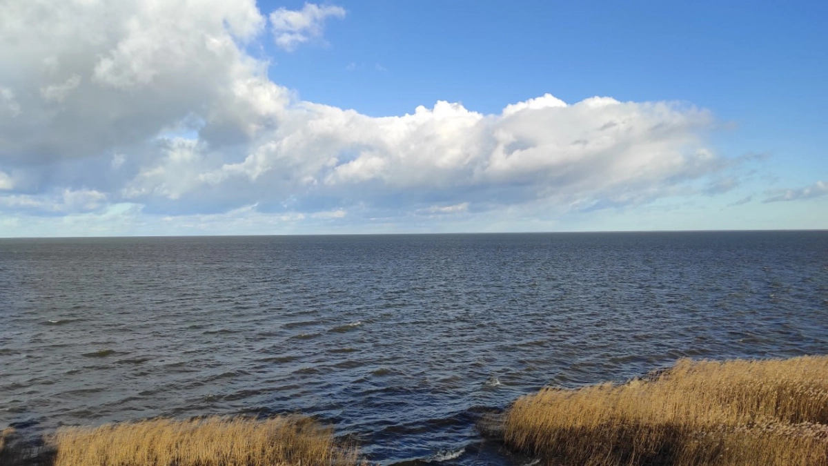 «Жилет его спас»: под Балтийском отдыхающие подняли из воды рыбака, которого выбросило из лодки