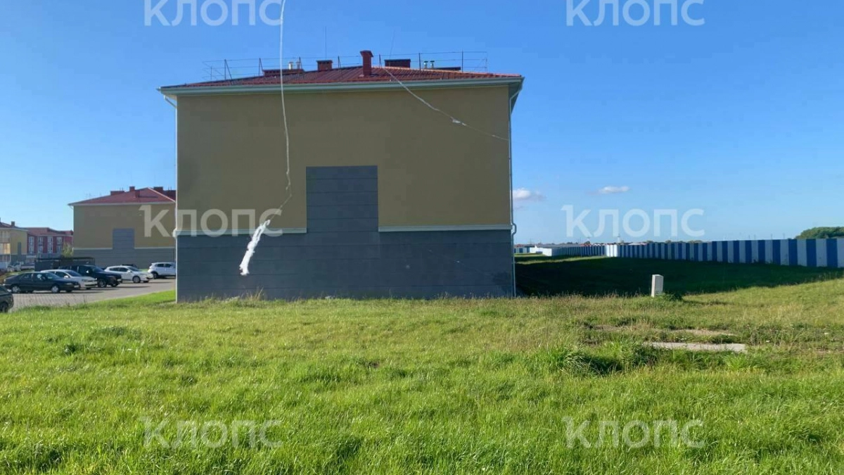 Паутинки на столбах, одежде и животных: биолог рассказал откуда в Калининграде взялись летающие на нитях пауки