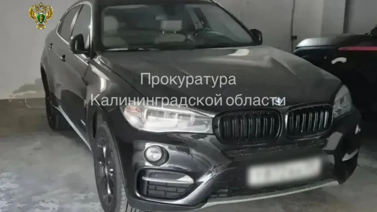 Квартира и парковки на 18,5 миллиона рублей: у экс-главы Службы ветеринарии изъяли имущество в Калининграде