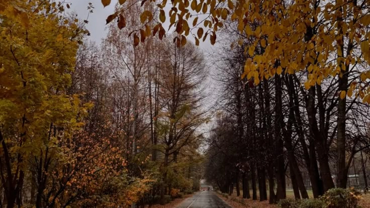 Во вторник в регионе ожидается пасмурная погода, подробный прогноз в течение дня