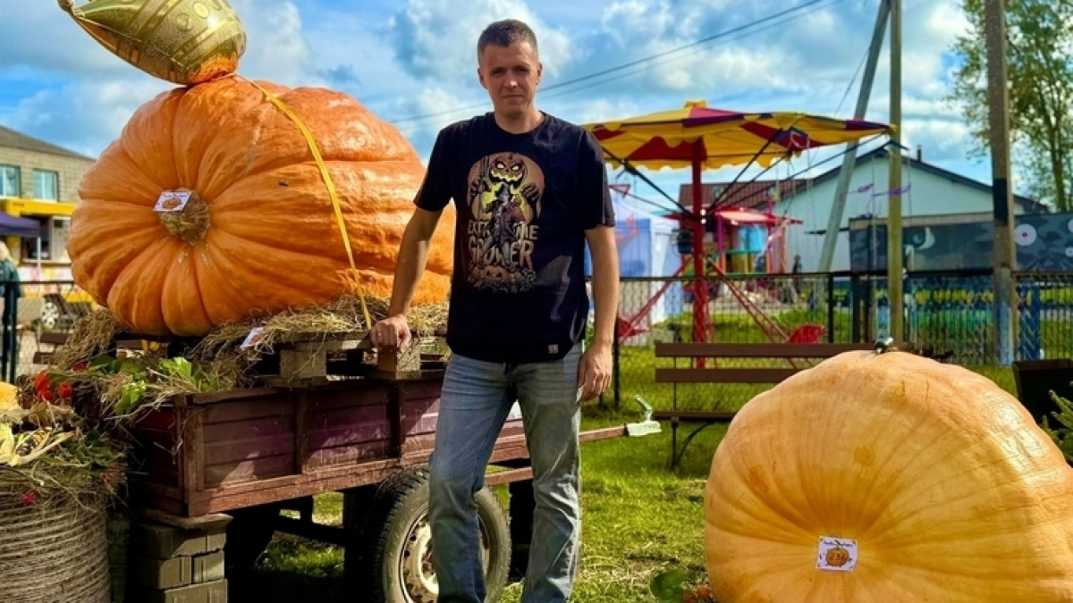 Тыква-гигант в 387 кг: калининградец применил кондиционер и лебёдки ради рекордного урожая  