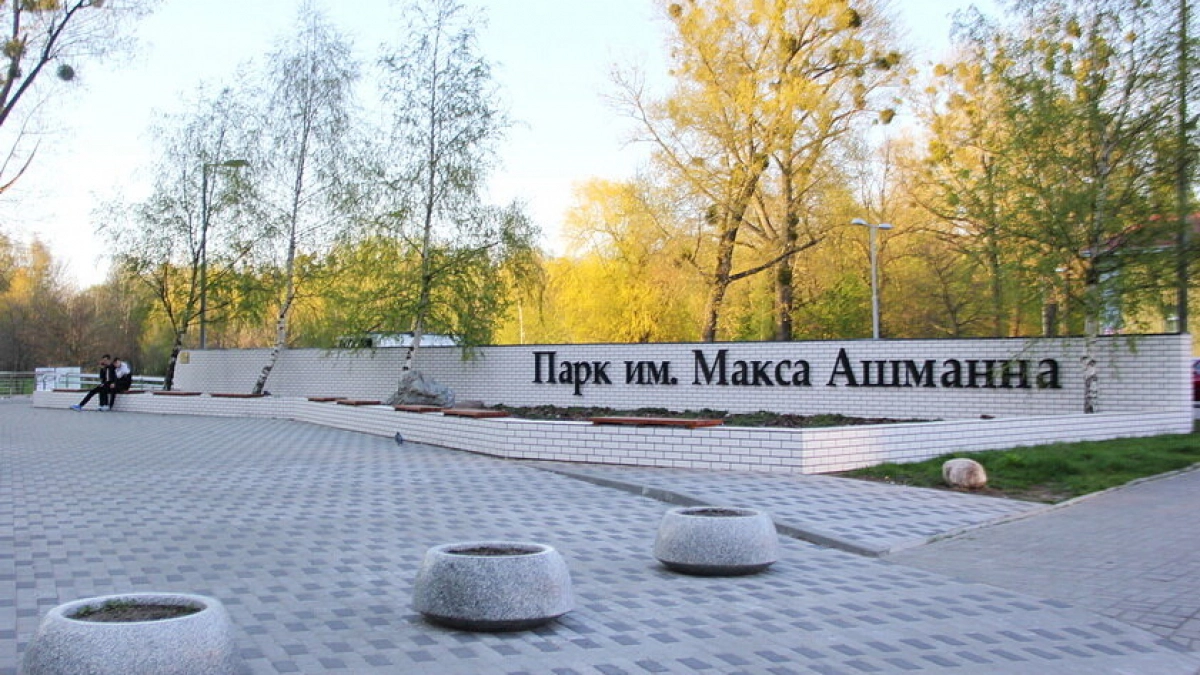 В Калининграде владельцев частных домов у парка Ашманна уличили в сбросе отходов в ручей Северный