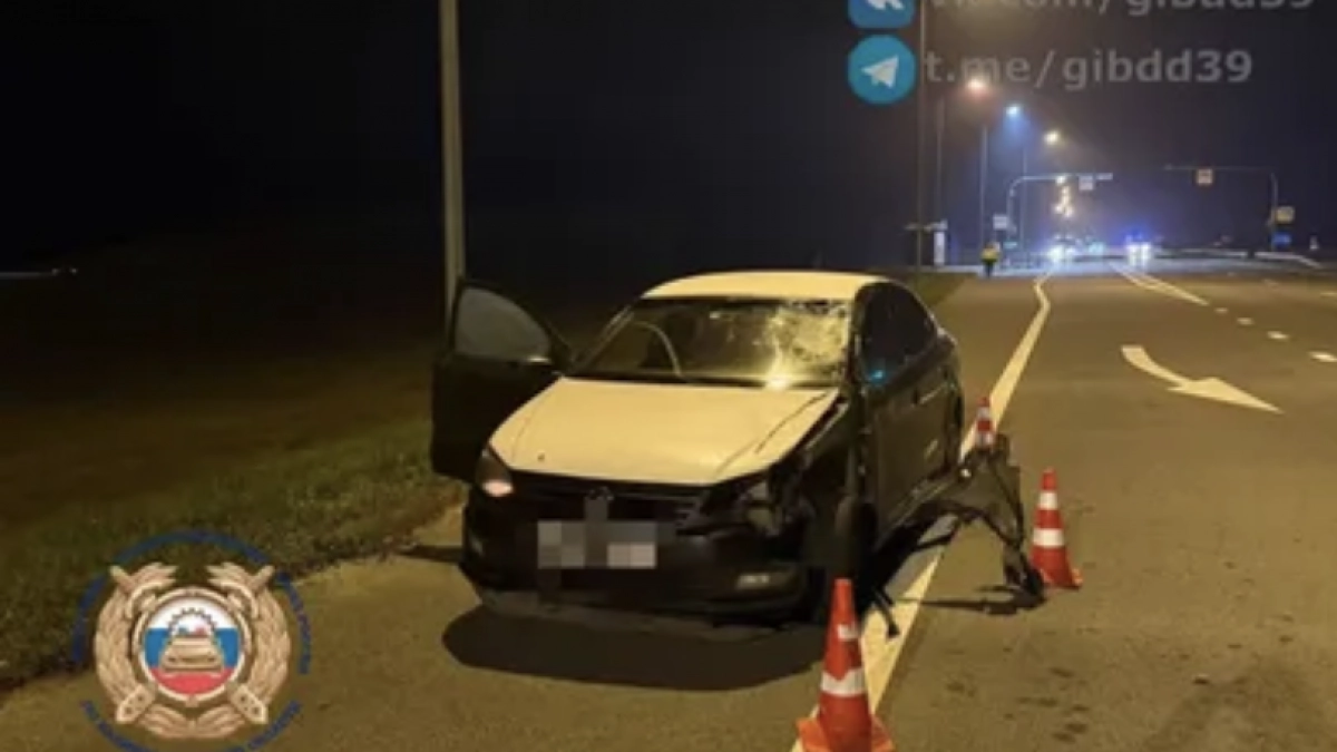 «Ехал со стороны Калининграда»: на трассе у Сокольников автомобиль насмерть сбил велосипедиста