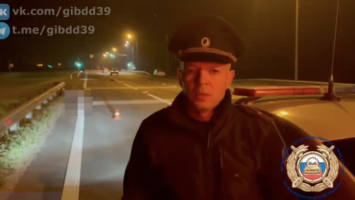 Ночная поездка закончилась гибелью: на калининградской трассе автомобиль сбил велосипедиста