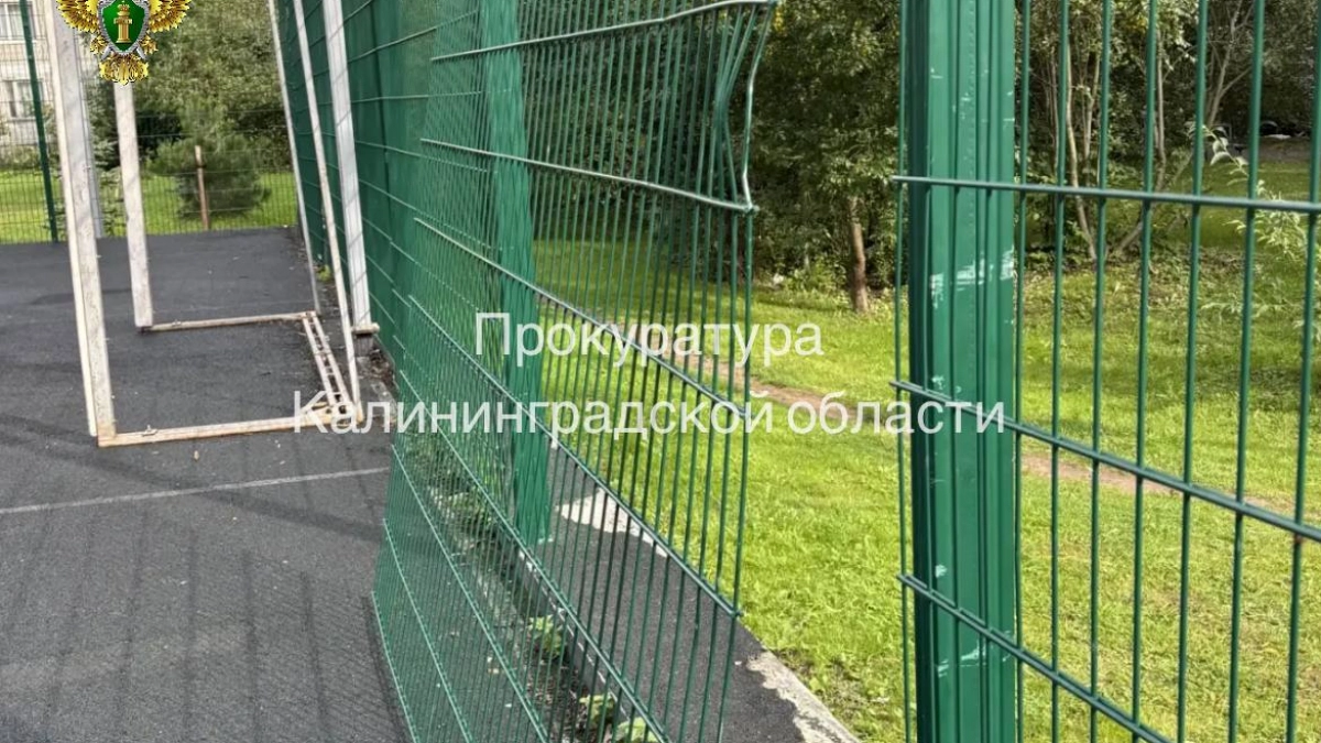 Опасный спорт: в Зеленоградске прокуратура требует 100 тысяч рублей за травму 12-летнего мальчика у сломанного забора на площадке