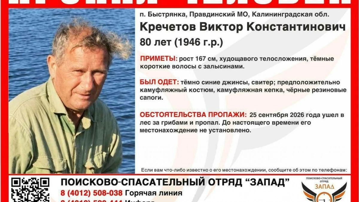 Больше недели в чаще: что известно о судьбе пожилого грибника, пропавшего в калининградском лесу