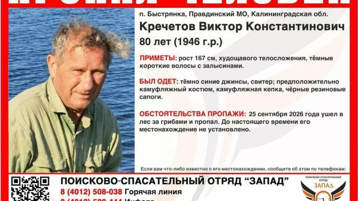 В Калининграде близкие пропавшего 80-летнего грибника организуют поиски в воскресенье